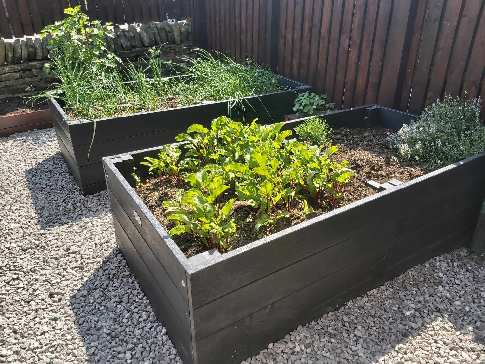 British Recycled Plastic raised bed kits with fresh vegetables